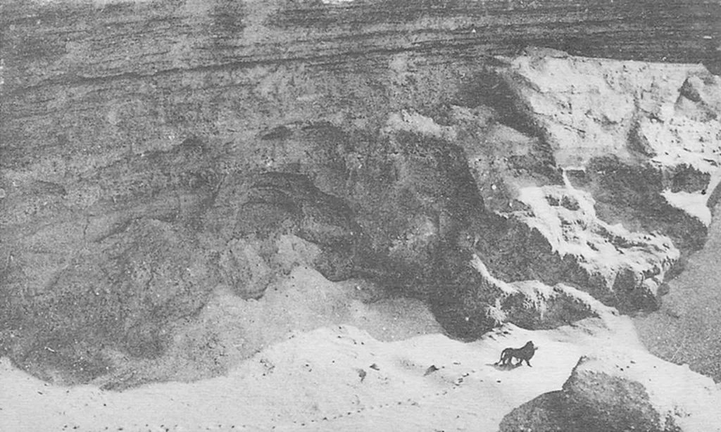 Barbary Lion in the Atlas Mountains, 1925. Last picture of its kind.

This is a 1925 photo of possibly the last Barbary lion in the wild before its extinction. It was taken by French photographer Marcelin Flandrin while he was onboard a flight on the Casablanca-Dakar air route.