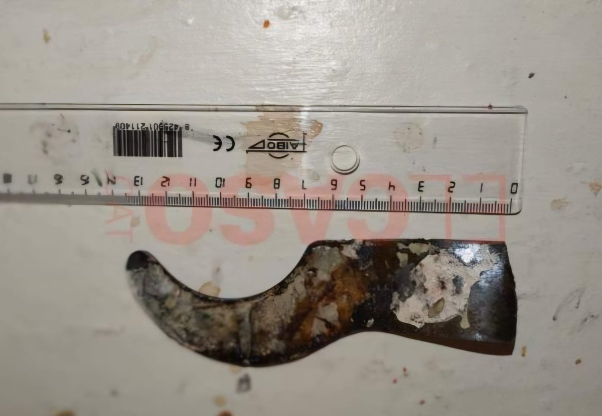 CSIFLLEIDA tweet media