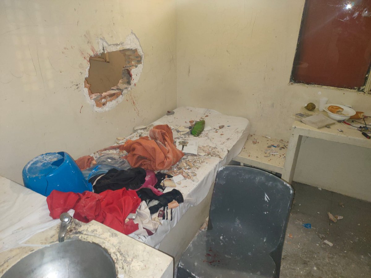 CSIFLLEIDA tweet media