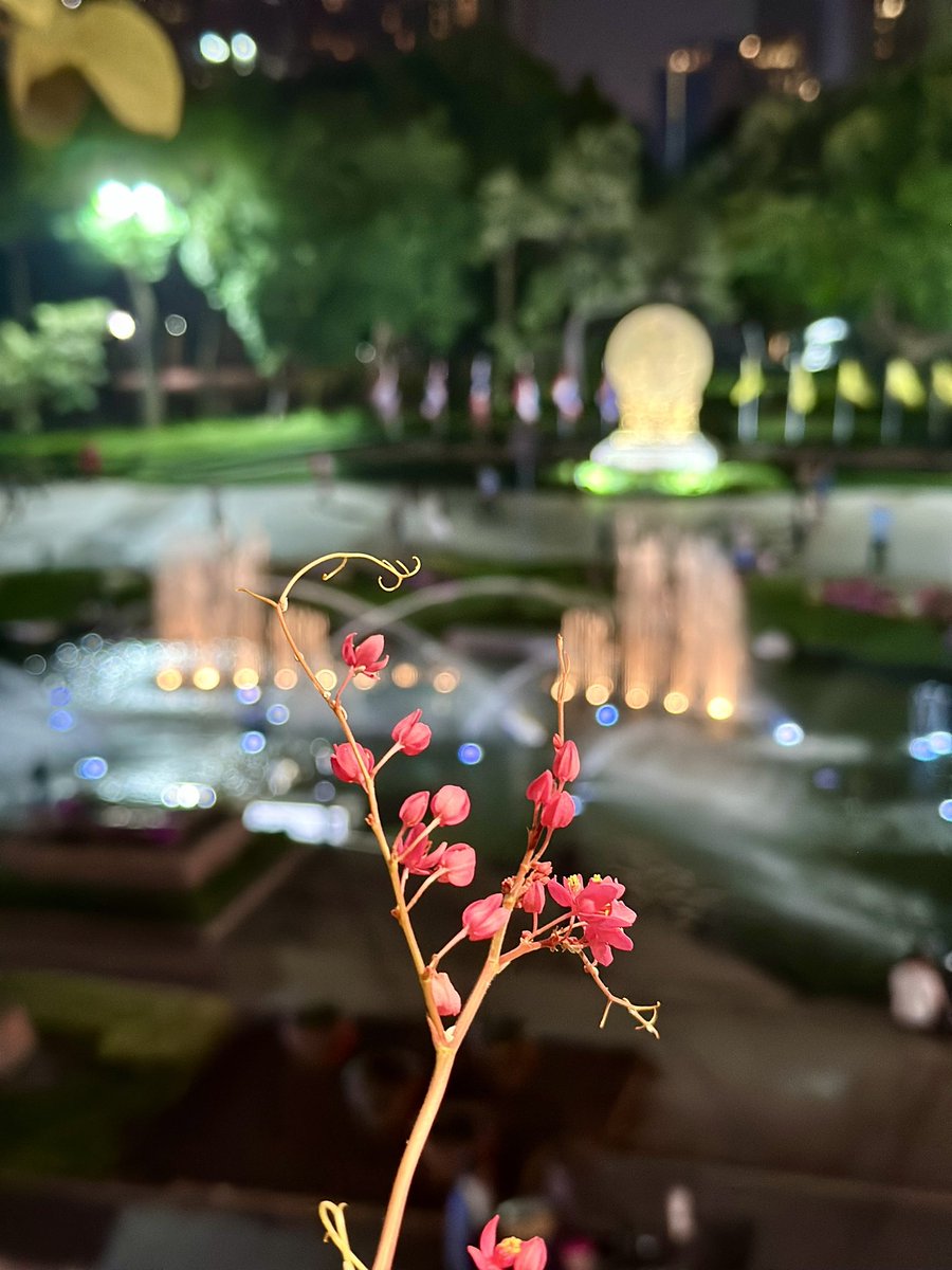 doksandy's tweet photo. #benchasiripark #bangkok #summerof24 https://t.co/df5nzZnGDu