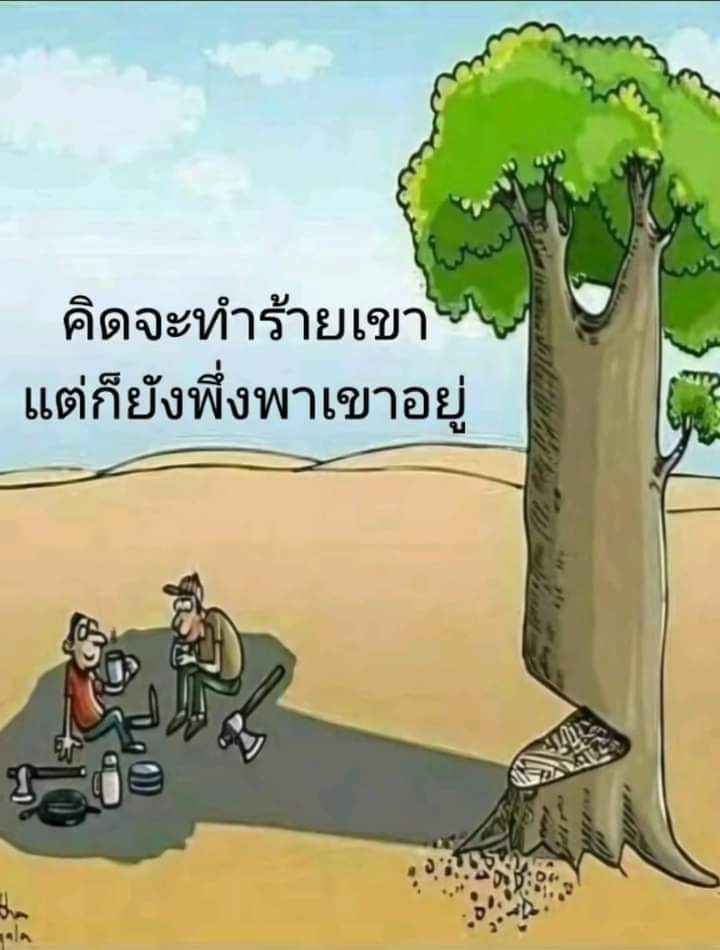 Chisanucha28110's tweet photo. https://t.co/YUJuxEQ0c3