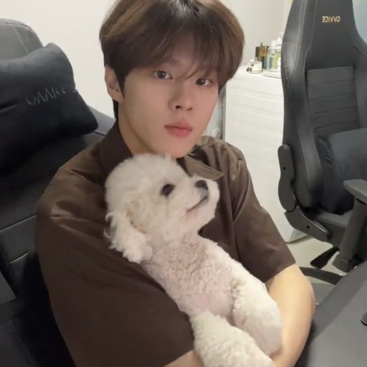 깡고 tweet media
