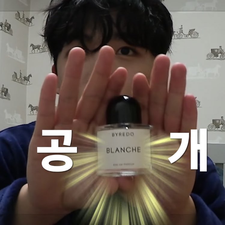 깡고 tweet media