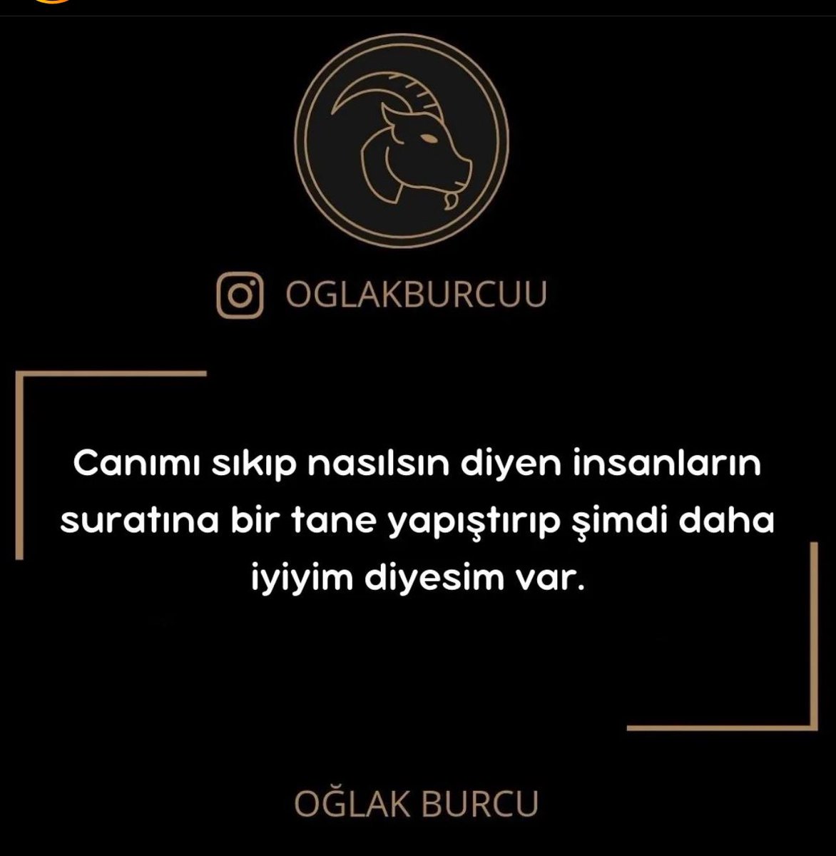 sdyerdogan's tweet photo. https://t.co/RAFsFppM3B