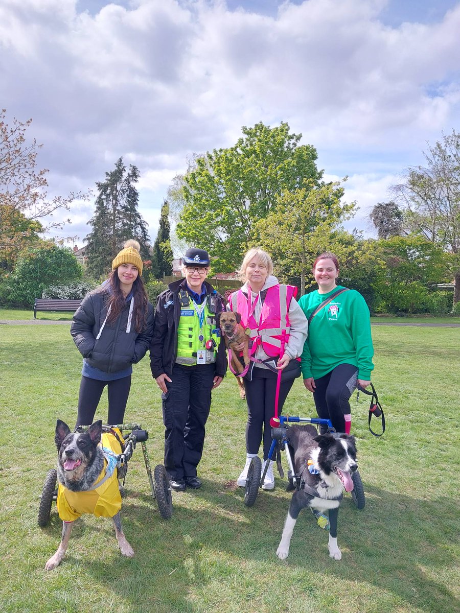 A lovely event organised by the charity Pumpkin and Friends. The charity spent the day fundraising to help and raise awareness for disabled animals. Otis, Maggie, and Cayde had a brilliant time enjoying the sunshine 🌞