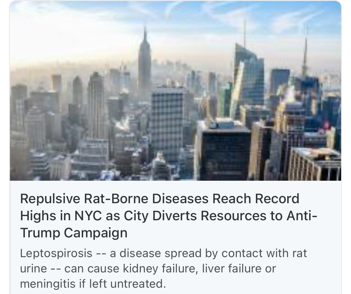 Look what liberals have done to the American people! NYC is literally a rat infested shithole infecting people with nasty rat piss diseases Everything liberals touch turns to shit