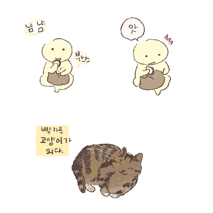 무릎 위 고양이 