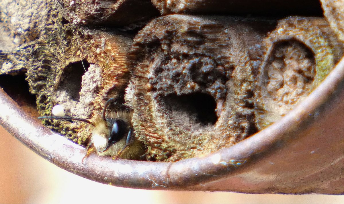 Simon Watts WILD Presentations tweet media