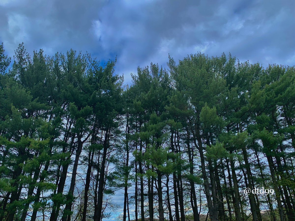 Happy #Sunday! #Clouds in the sky yesterday in northeast Ohio. #trees #sundayvibes #outdoors #hiking #nature #photography #mobilephotography #ThePhotoHour #StormHour