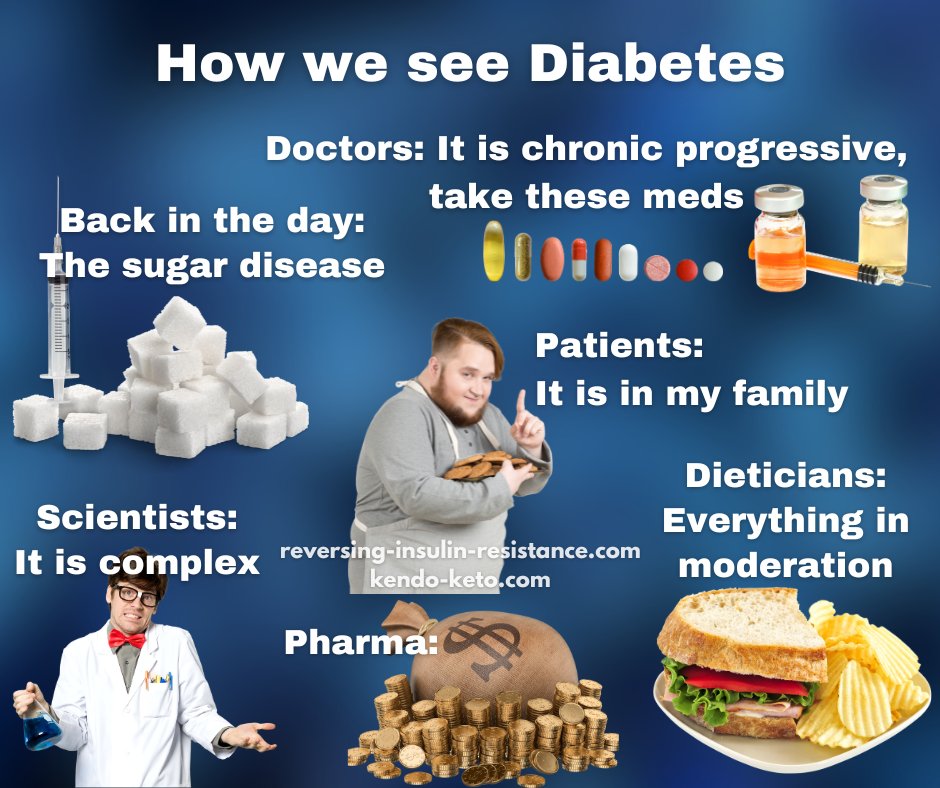 REV_Insulin_Res's tweet image. RT

Diabetes

Back in the day, diabetes was known simply as "the sugar disease." This nickname made it clear—less sugar, better health. Somehow, that easy-to-grasp wisdom faded in favour of medication-focused treatment. Unfortunately, medically controlled glucose levels do not