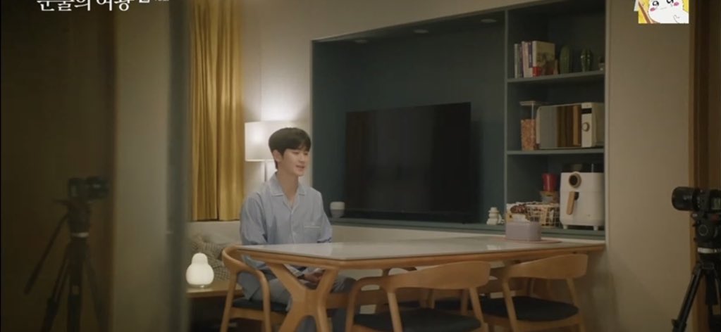 VanillaDogs 🦴 tweet media