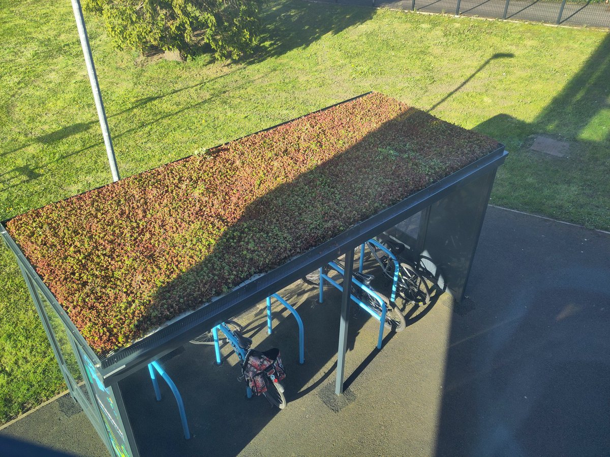 Nina Schönberg tweet media