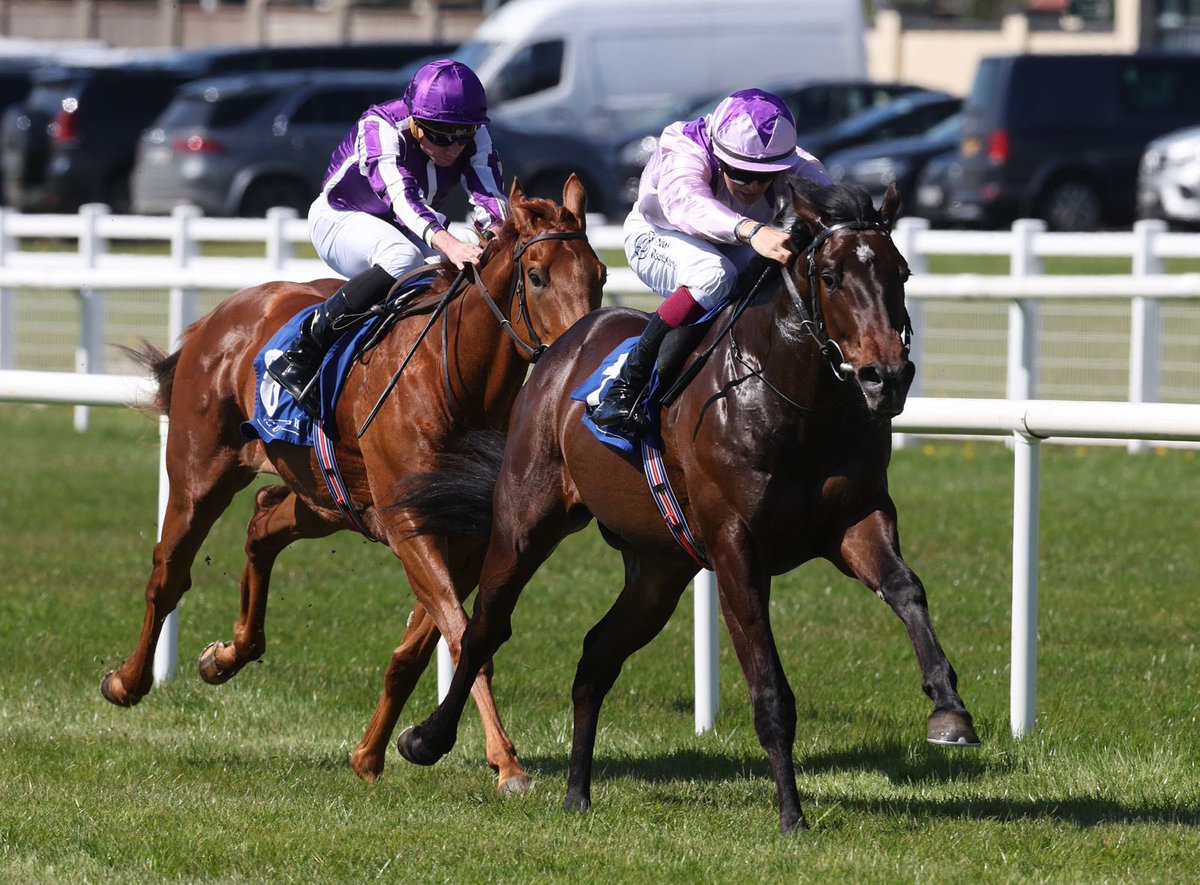 Cowardofthecounty wins the @KeadeenHotel @IrishEBF_ Maiden. A super double for trainer @JosephOBrien2 and jockey @DylanBrowneMcM ✨🏆