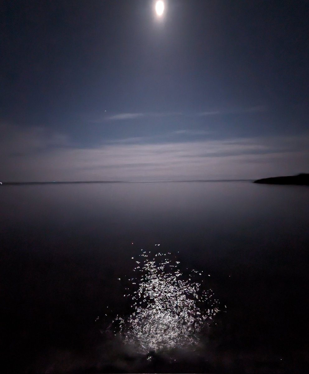 MorphMpls's tweet photo. Late night Superior stroll. #twoharbors https://t.co/dyLEIFazhj
