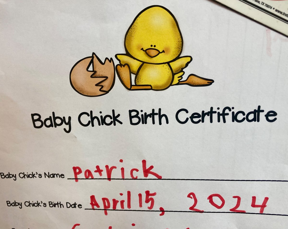 This one named one of the first grade chickies after his fave: <a href="/PatrickMahomes/">Patrick Mahomes II</a> ! “They have the same color hair and he’s really cool!”