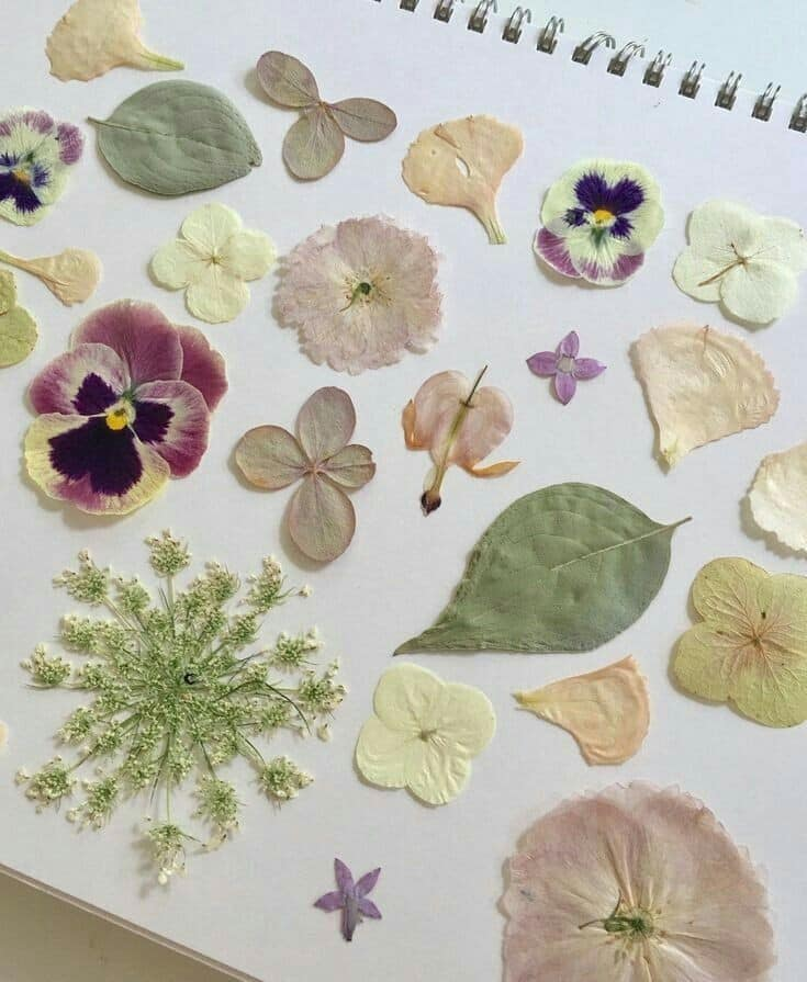 artindetails's tweet photo. dried flowers https://t.co/zBfa4u7aAy