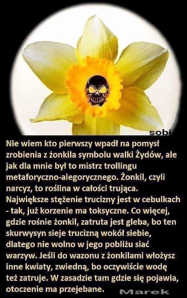 michaltyrpa's tweet photo. 🇮🇱 #PsychopatyczniMordercyDzieci #Parszywe #Parchy #ParchParchaParchemPogania #SolidarnizLudobójcami #Szabesgoje #ŻadnychŻonkili https://t.co/vv2f2EHmoB