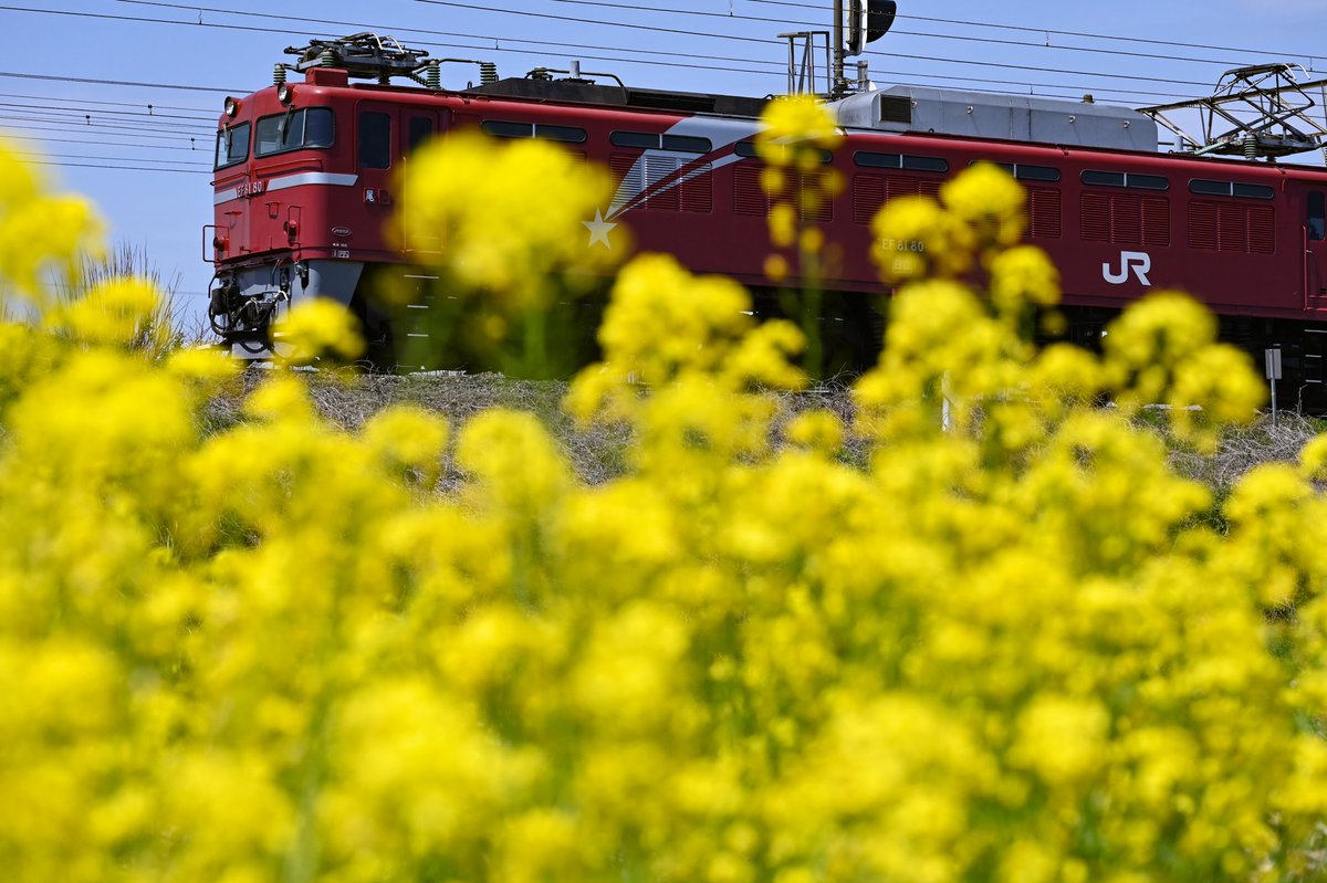 yurutetsu63's tweet photo. 2024/4/21
EF81 80[尾]+E26系カシオペア
盛岡行カシオペア紀行返却回送

ほどよい暖かさでのんびり撮影出来ました https://t.co/xQ8DrnkmHr