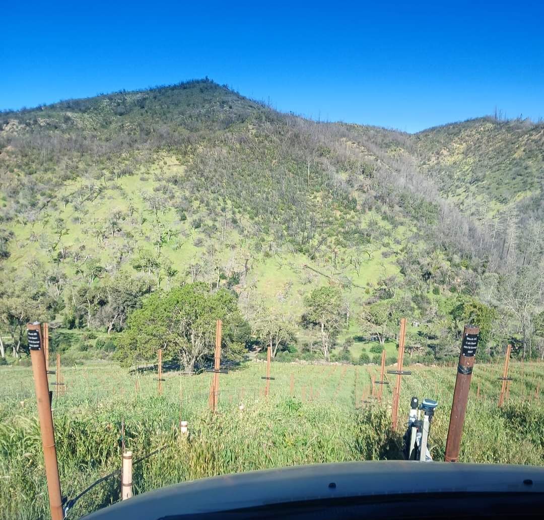 Ana shared this picture from Calistoga CA, where they are preparing to plant new grape vineyards. #WeFeedYou