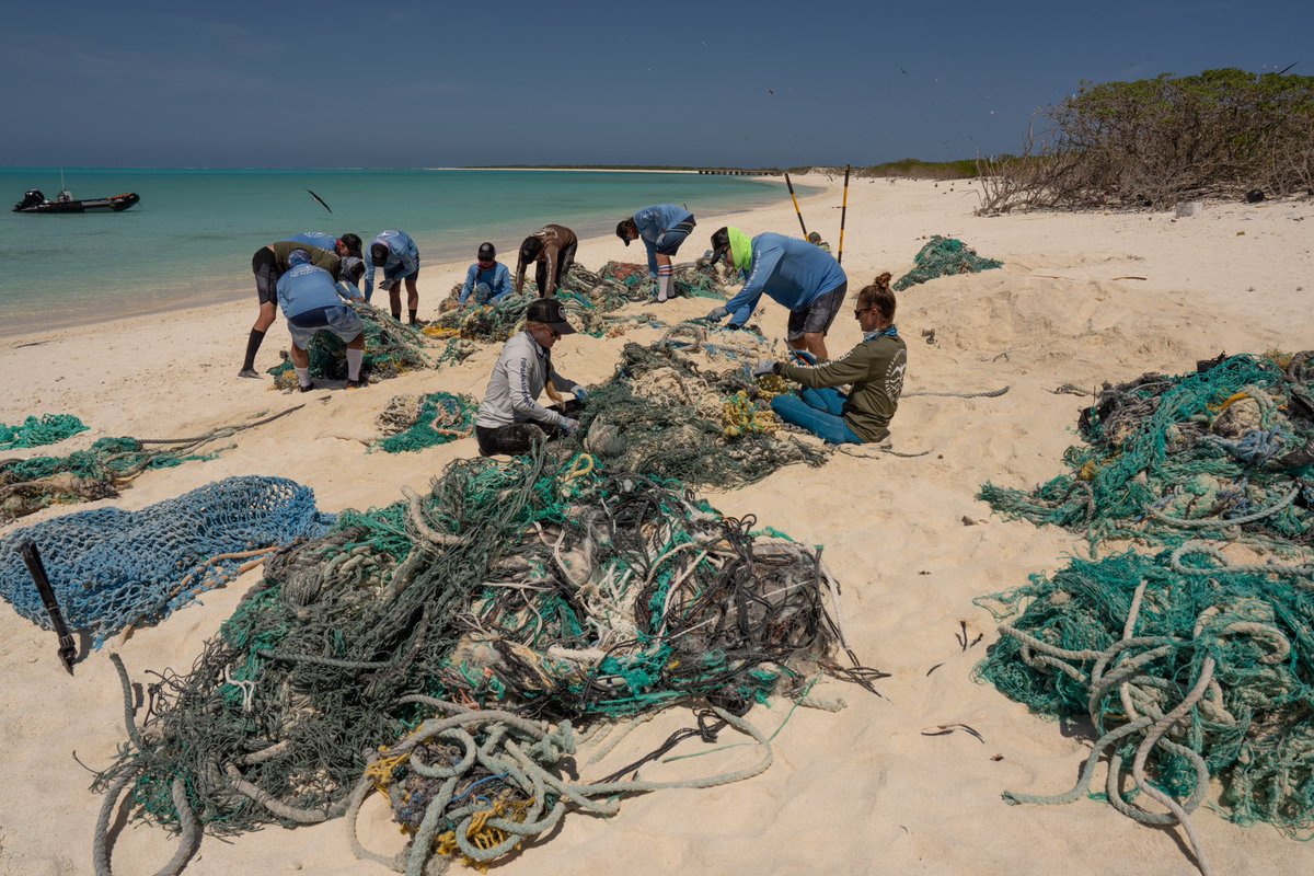 We are just getting started! 

So far we have removed 20,370 pounds of marine debris!

After four days at Kuaihelani we are inching towards our goal! We have been diligently working on removing large entanglements hazards from Sand Island and Eastern Island.