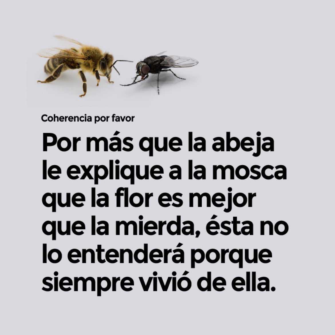 CoherenciaFavor's tweet photo. https://t.co/maxS4rzuZD