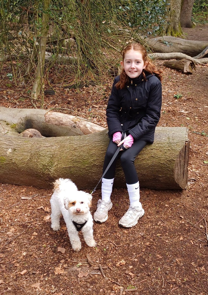Catheri89753181's tweet photo. @Farnworth5OG a gorgeous sunny Sunday well spent on a big woodland walk followed by a roast! Even Bruce had a doggy dinner 🫶🐾🥰🩷 https://t.co/gkIgFi3F5s