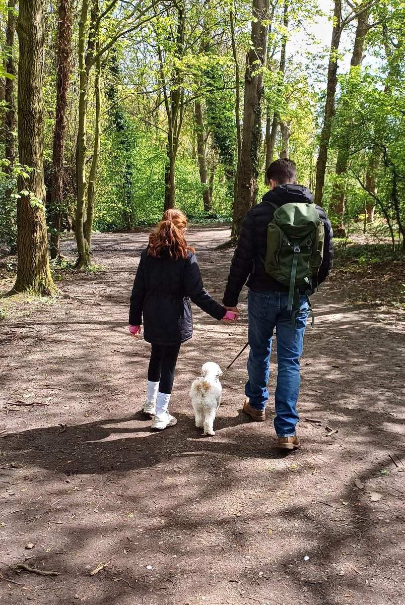 Catheri89753181's tweet photo. @Farnworth5OG a gorgeous sunny Sunday well spent on a big woodland walk followed by a roast! Even Bruce had a doggy dinner 🫶🐾🥰🩷 https://t.co/gkIgFi3F5s