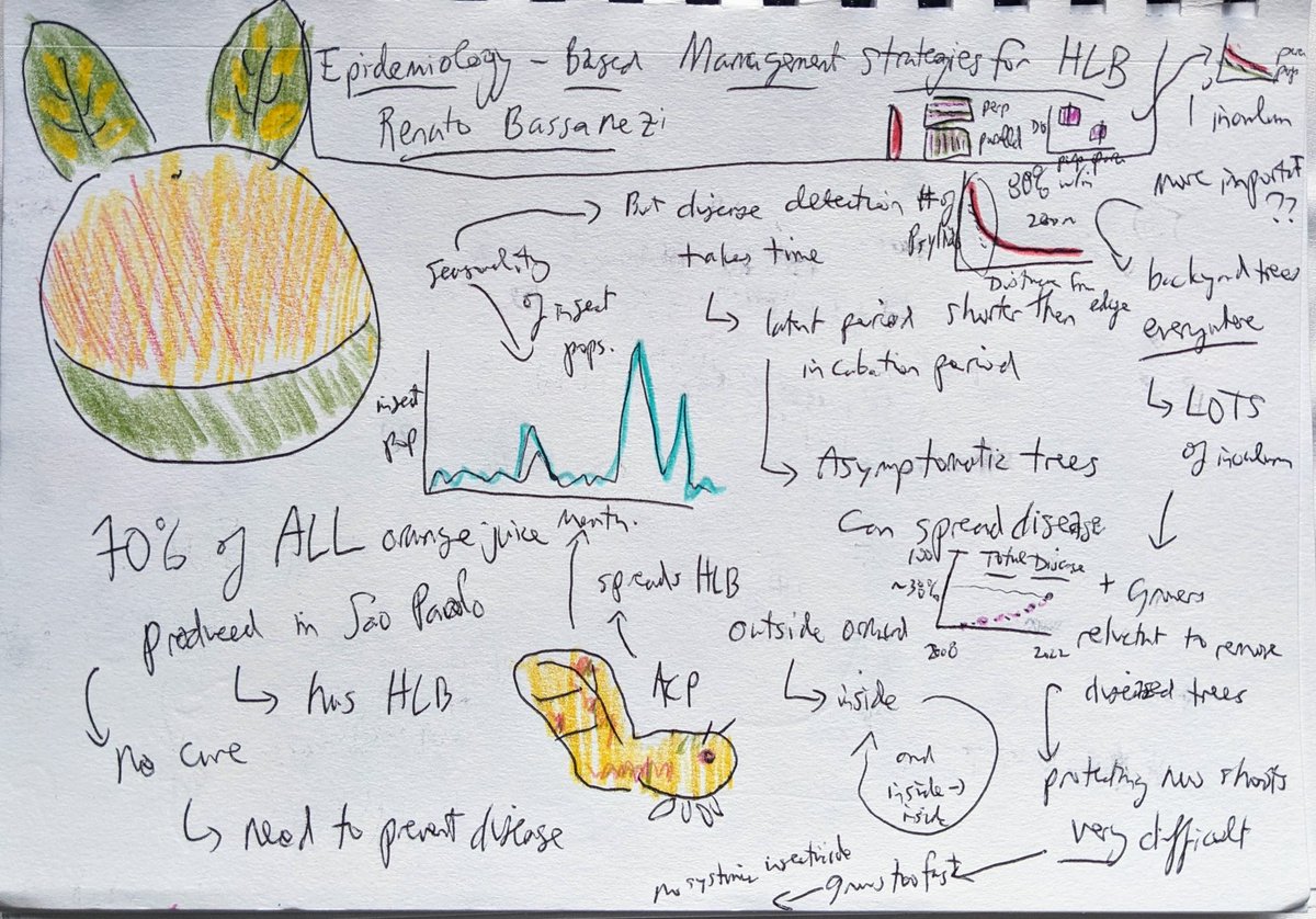And finally a really nice talk by Renato Bassanezi on how to model and control HLB in Brazil, easily one of the densest areas of citrus production on earth #IEW13 #sketchnotes