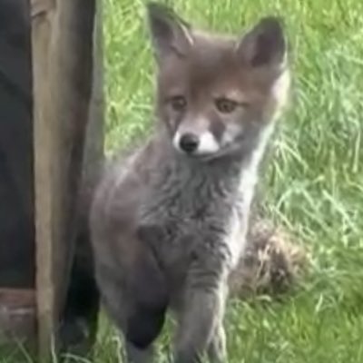 ThePositivePractice tweet media