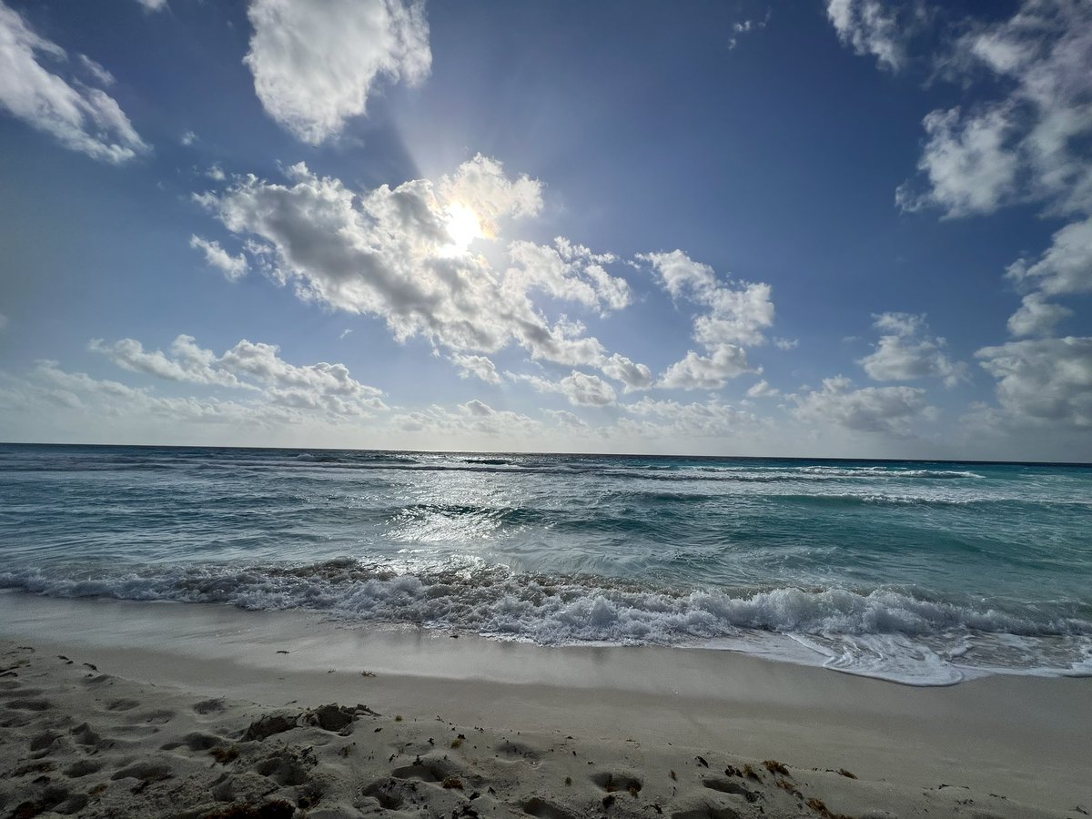 CatMobboss's tweet photo. Gm Cats !! 

My last day on vacation in Mexico ! 

Don’t forget, it’s ok to sometimes take a break from the grind ! Sometimes you need to go out and touch grass ! Or in my case some sand ;) 

#btc #web3 #cryptolife #touchgrass https://t.co/q3XD4JLLb2