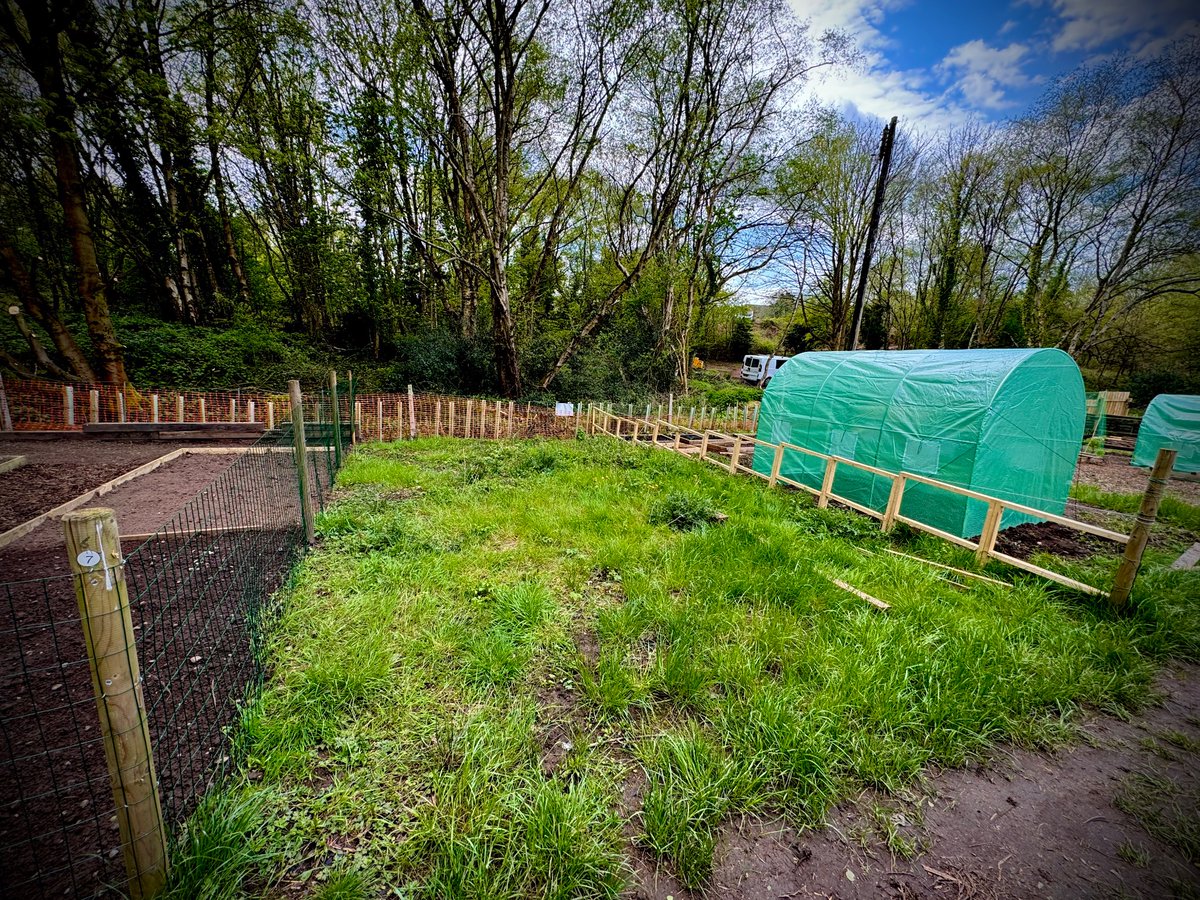 🌱 Exciting news! 🌟 Plot 6 and 27 are up for grabs at our community garden! 🌿 Join us today and start your gardening journey! 🌻 Apply now at wharfside.org/apply 🌿 #CommunityGarden #GreenThumbs 🌱