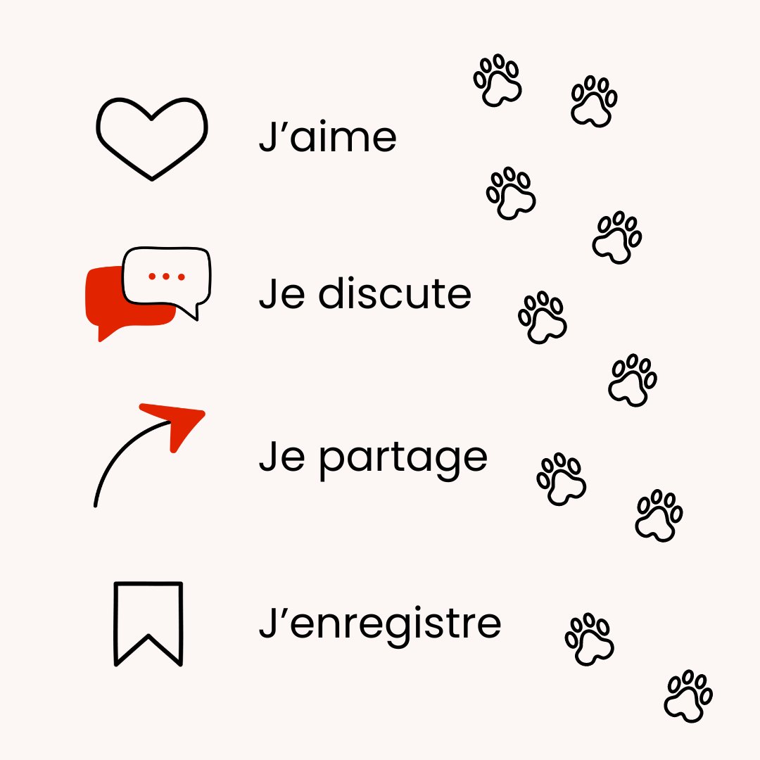 🥂 🥳 Jour de sortie ! 🥳 🥂 

C'est la Journée de l'autoédition ! Quel meilleur jour aurions-nous pu trouver pour sortir notre numéro 12 en version papier ?

Vous pouvez le commander dès maintenant sur Amazon au prix tout doux de 10€ !

C'est par là : amazon.fr/LInd%C3%A9-Pan…