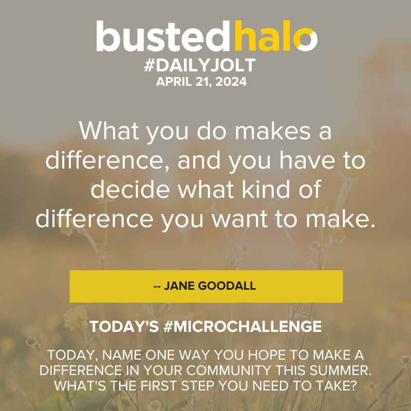 Today's #DailyJolt comes from @JaneGoodallInst bustedhalo.com