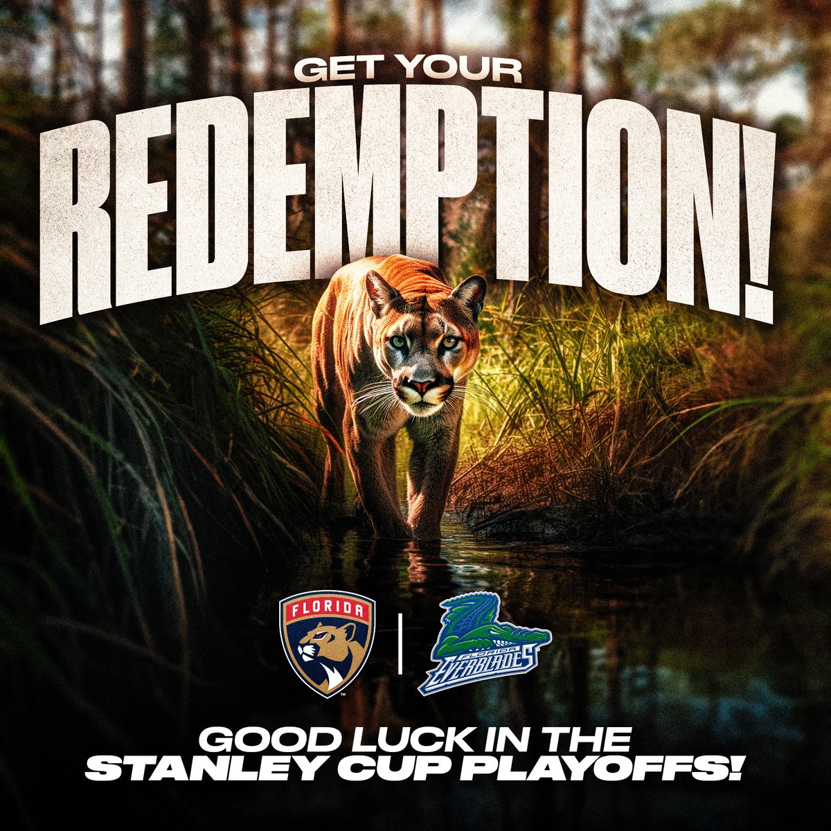 go get em, @flapanthers