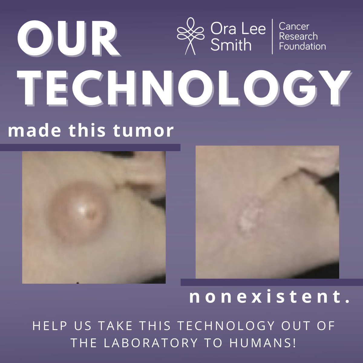 Founded by @Dr. Hadiyah-Nicole Green, @OraLee.org has cancer-killing #tech that eliminates tumors in lab mice after one 10-minute txt in just 15 days. Your support will fund clinical trials & keep our #tech #affordable for #all. Learn more and donate at OraLee.org.