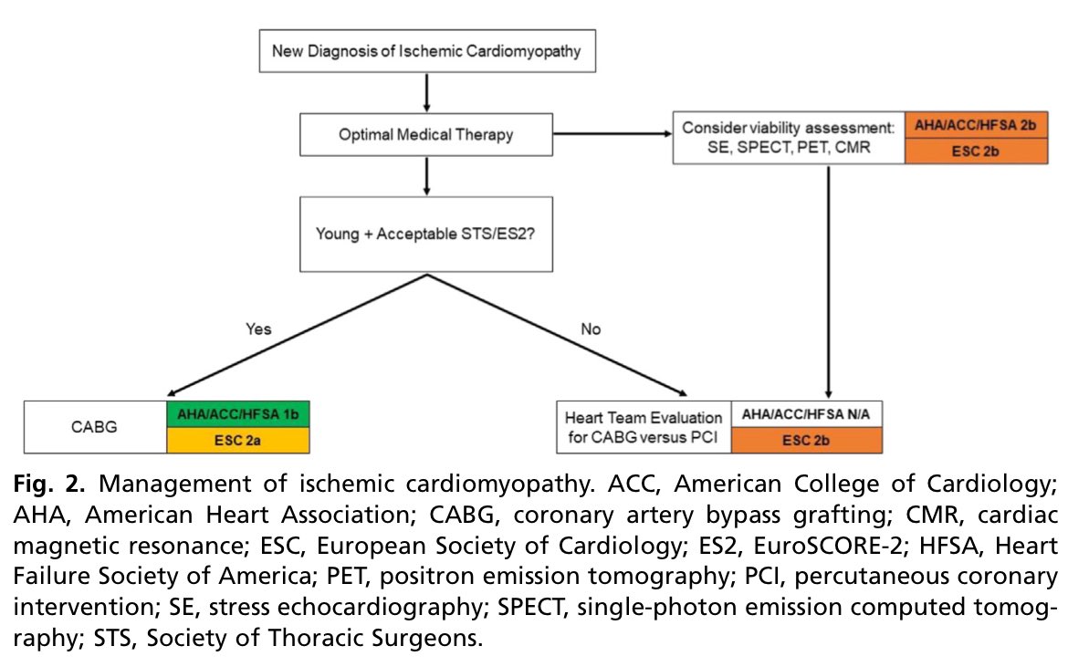 🔴 Medical Decision-Making and Revascularization in Ischemic Cardiomyopathy

✅medical.theclinics.com/article/S0025-…
 #cardiology #clinical #MedEd #CardioEd #medtwitter #CardioTwitter #MedTwitter #FOAMed #MedEd #cardiology #CardioTwitter #medtwitter #FOAMed #cardiotwiteros