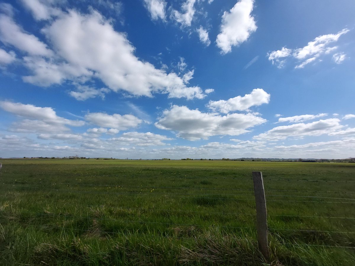 jonny-goes-wild tweet media