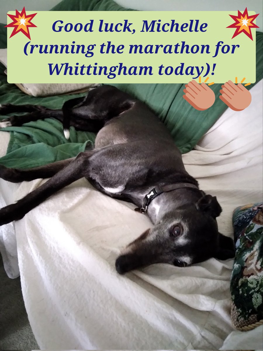 Thanks to #bbcmarathon for reading out our message of support for Michelle. The cause of greyhound homing was mentioned on BBC1 and that they told viewers how much the dogs sleep too! 
To sponsor Michelle, please find her fundraising page at: justgiving.com/crowdfunding/m…