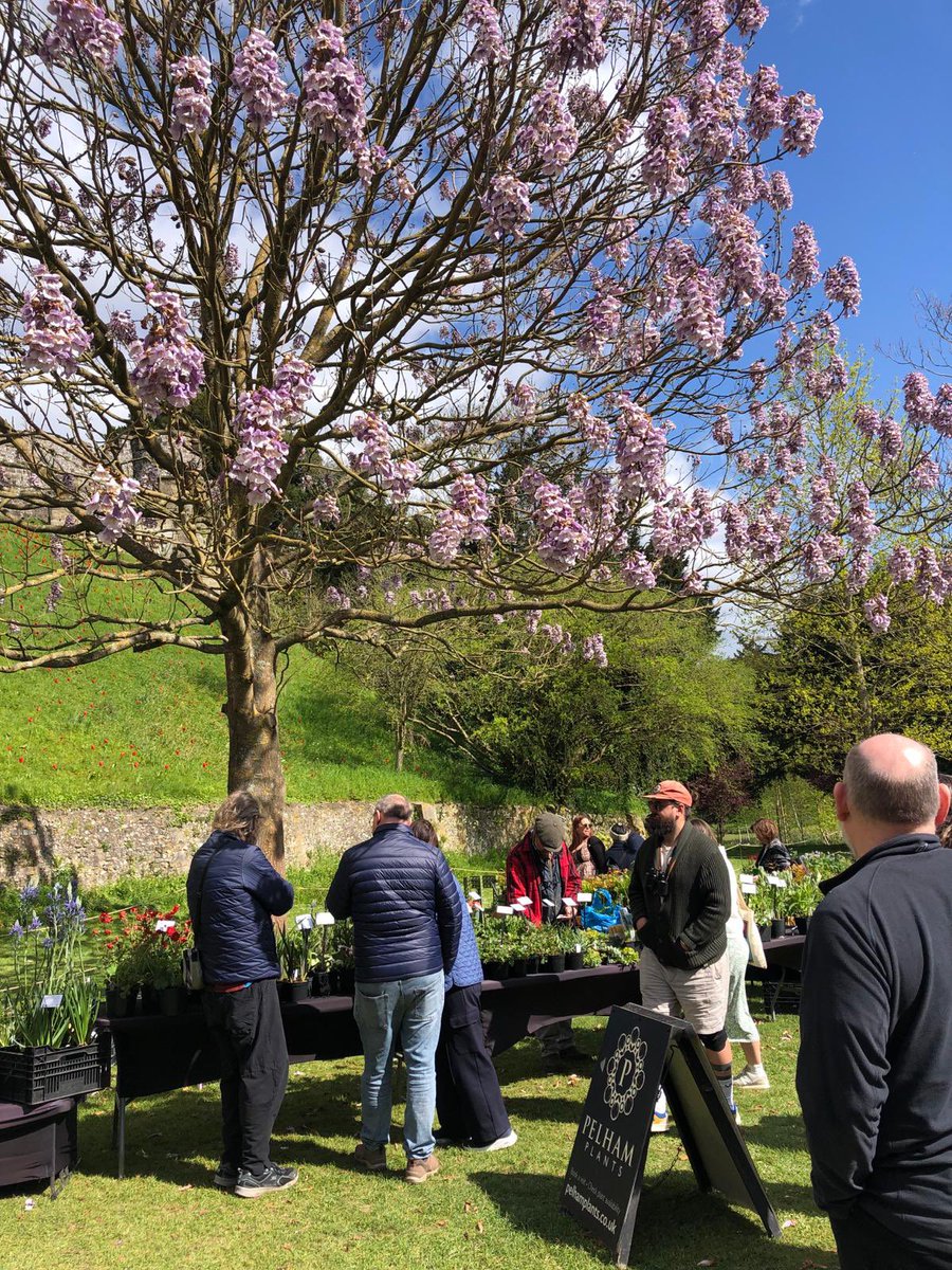 🙌 A fabulous backdrop for @PlantsFairs Roadshow @ArundelCastle today 🎉 #plantfair #plantfairs #plantfairsroadshow #arundelcastle #arundelcastlegardens #tulipfestival #sussexgardens #gardensofsussex #sussexgardeners #pelhamplants #pelhamplantsnursery