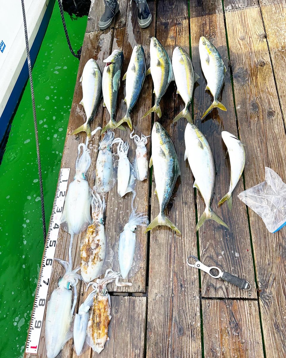 junjun8460's tweet photo. 釣行日記🎣📓　

夫婦で共通の趣味が「釣り」で、今回も行ってきました🛥️嫁ちゃんも平松君も、自己記録更新のハマチ👏

https://t.co/rnxWHEasuJ https://t.co/cRkcLVRaon