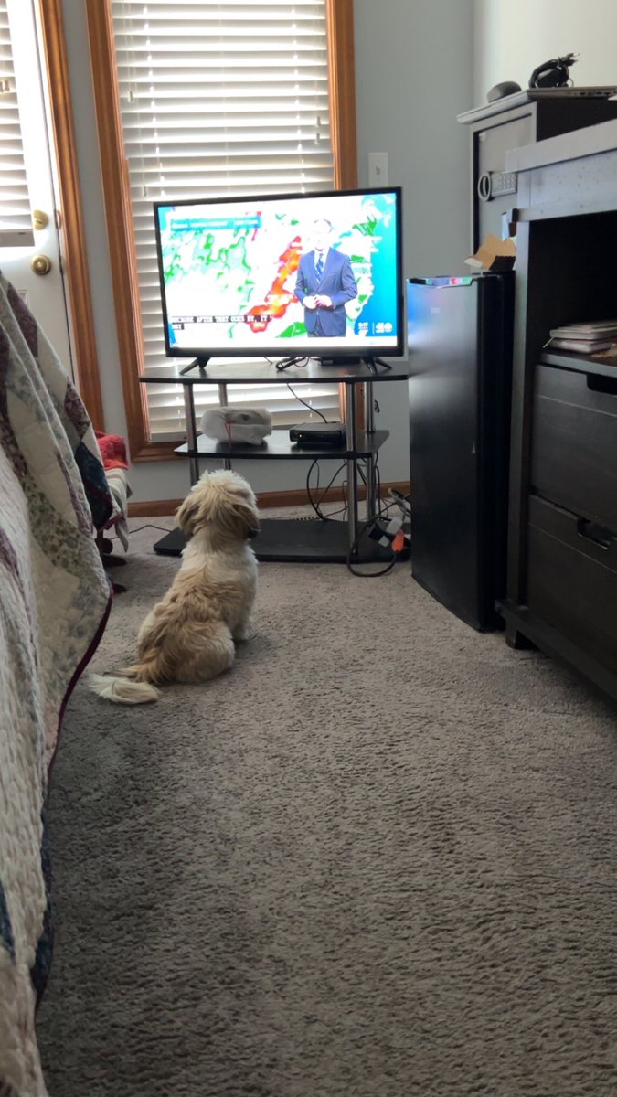 AJ is a fan of @KSHB41 and @JeffPennerKSHB weather broadcast!