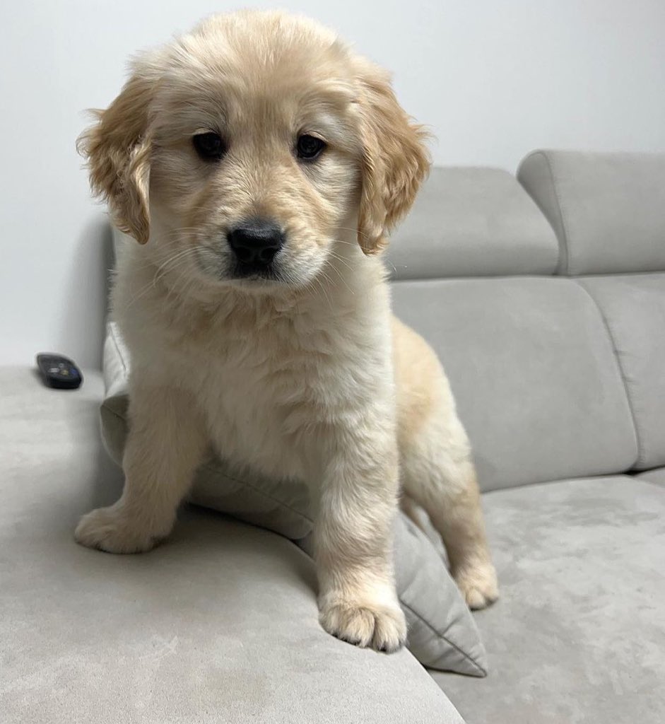 ขี้งอนพิเสด 😣