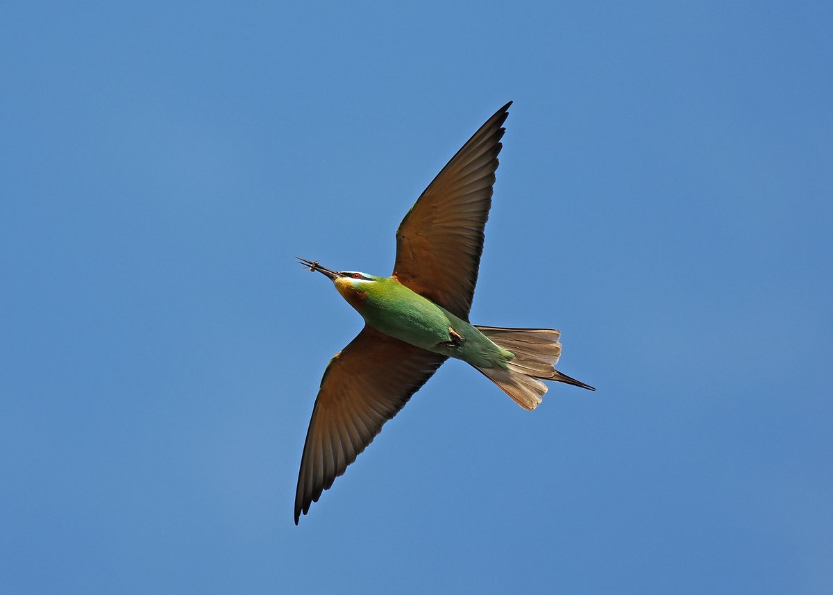 Gary Howard tweet media