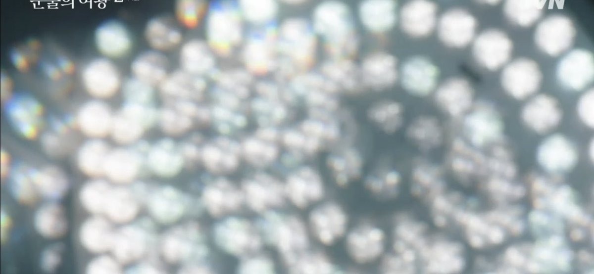 VanillaDogs 🦴 tweet media