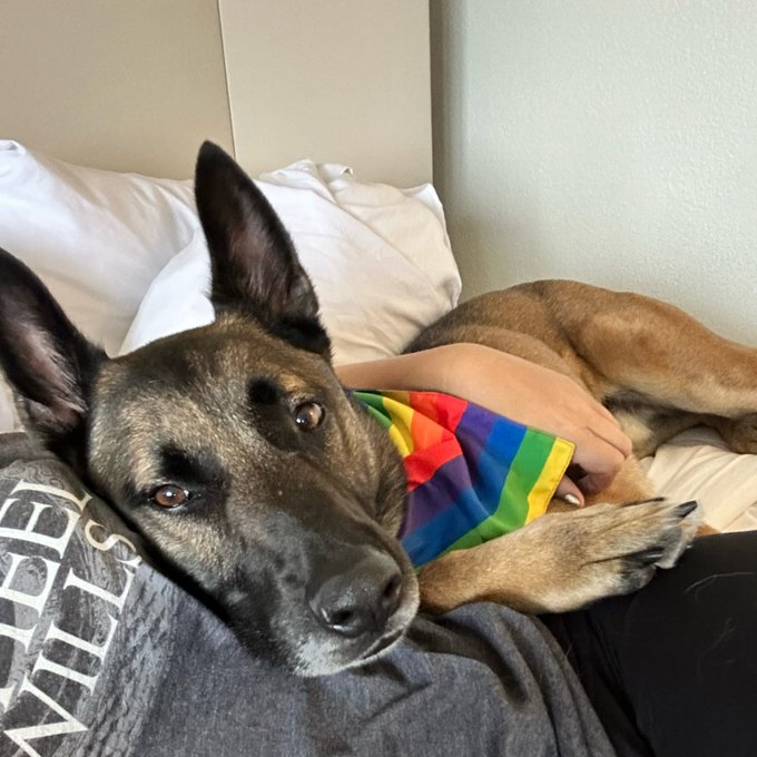 Pips has been learning that popularity is exhausting at #JordanCon https://t.co/eiWdRAPV4h<a href="/tag/jordancon"class="tags"><span>#jordancon</span></a>