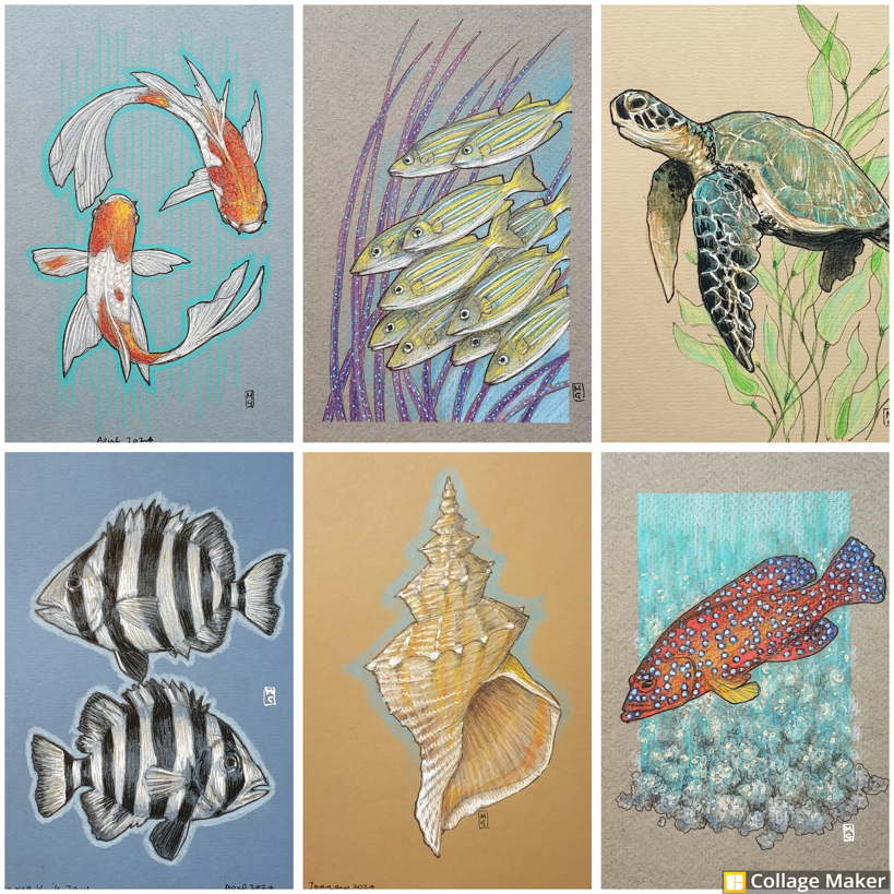 Life in the water. A little collection of drawings of creatures who live in our oceans, rivers or garden ponds! I am planning on more of these drawings, still deciding what subjects to pick. *shop link in my profile #fish #shell #turtle #OriginalArt #drawing #TraditionalArt