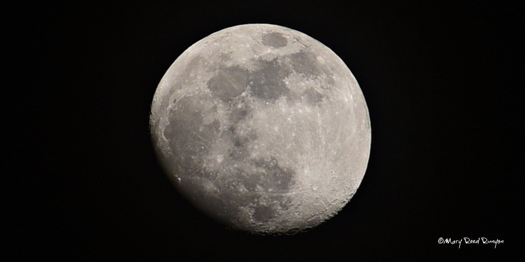 The #moon Saturday night #HatfieldKY @WYMT @brobwx @WSAZBrandon @SpencerWeather @Kentuckyweather @cjwxguy56 @JoshFitzWx @weatherchannel #ekywx #kywx #sekywx