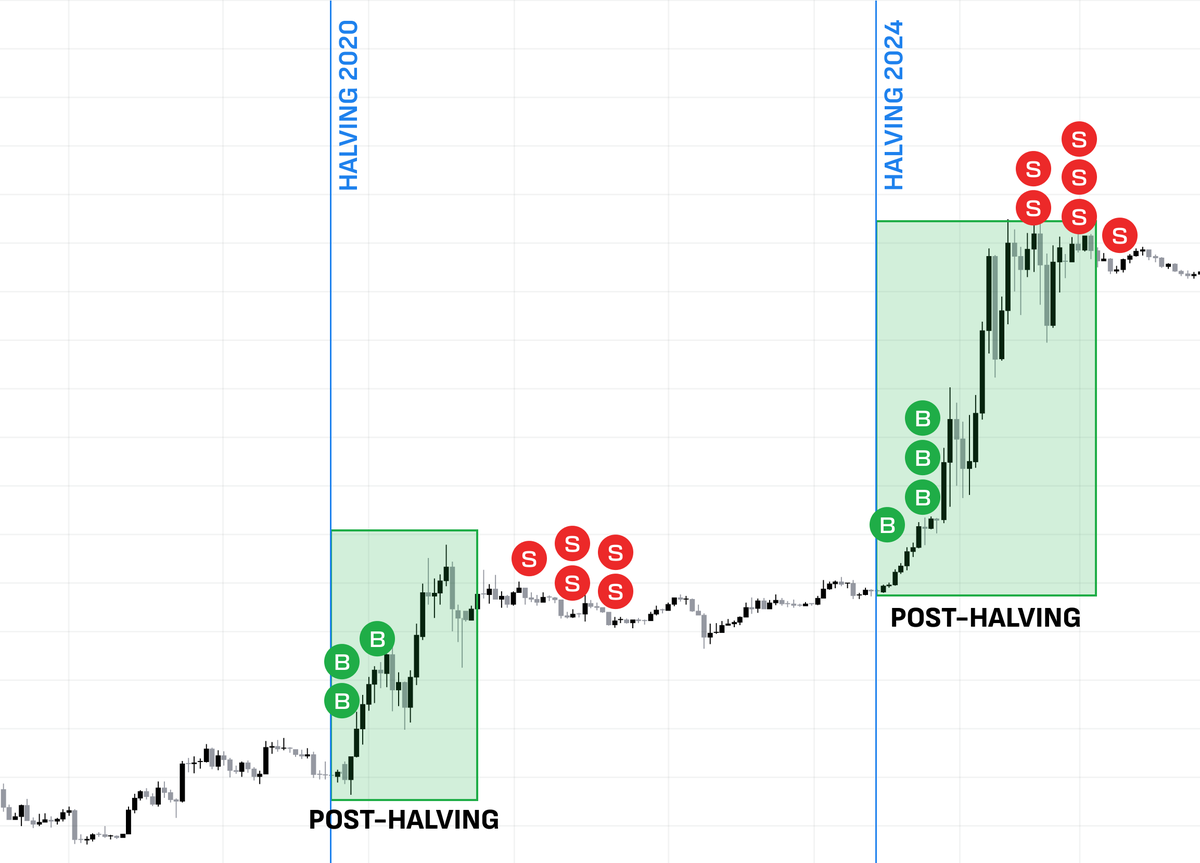 Historically, 1 year after the halving, altcoins go parabolic. The most important thing now is to buy before the pump. Many say 'buy the dip' but no one explains how. Not me... Here's a mega-thread on how to buy the dips 🧵👇