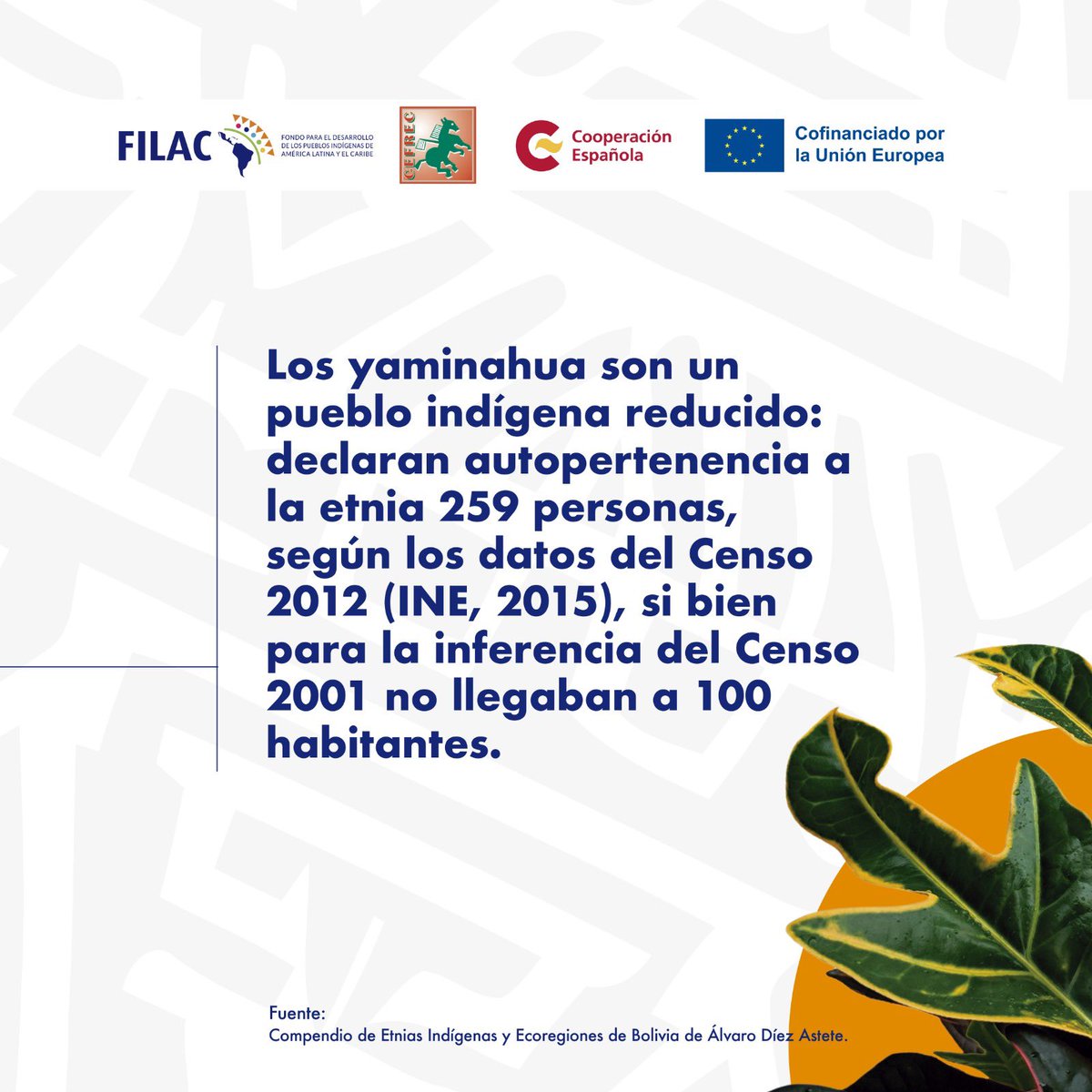 ¿Conoces al Pueblo Indígena Yaminahua en Bolivia? De acuerdo a los datos del Censo 2012 (INE, 2015), los Yaminahua son un pueblo indígena con una población de 259 personas. Sin embargo, en el Censo de 2001, la cifra de habitantes no superaba las 100 personas. Nos encontramos en