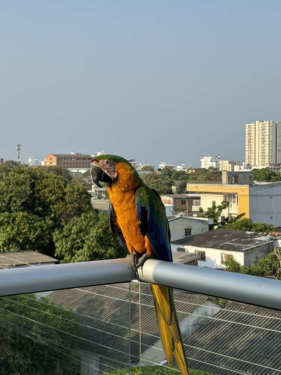 Stardust✨👽 tweet media